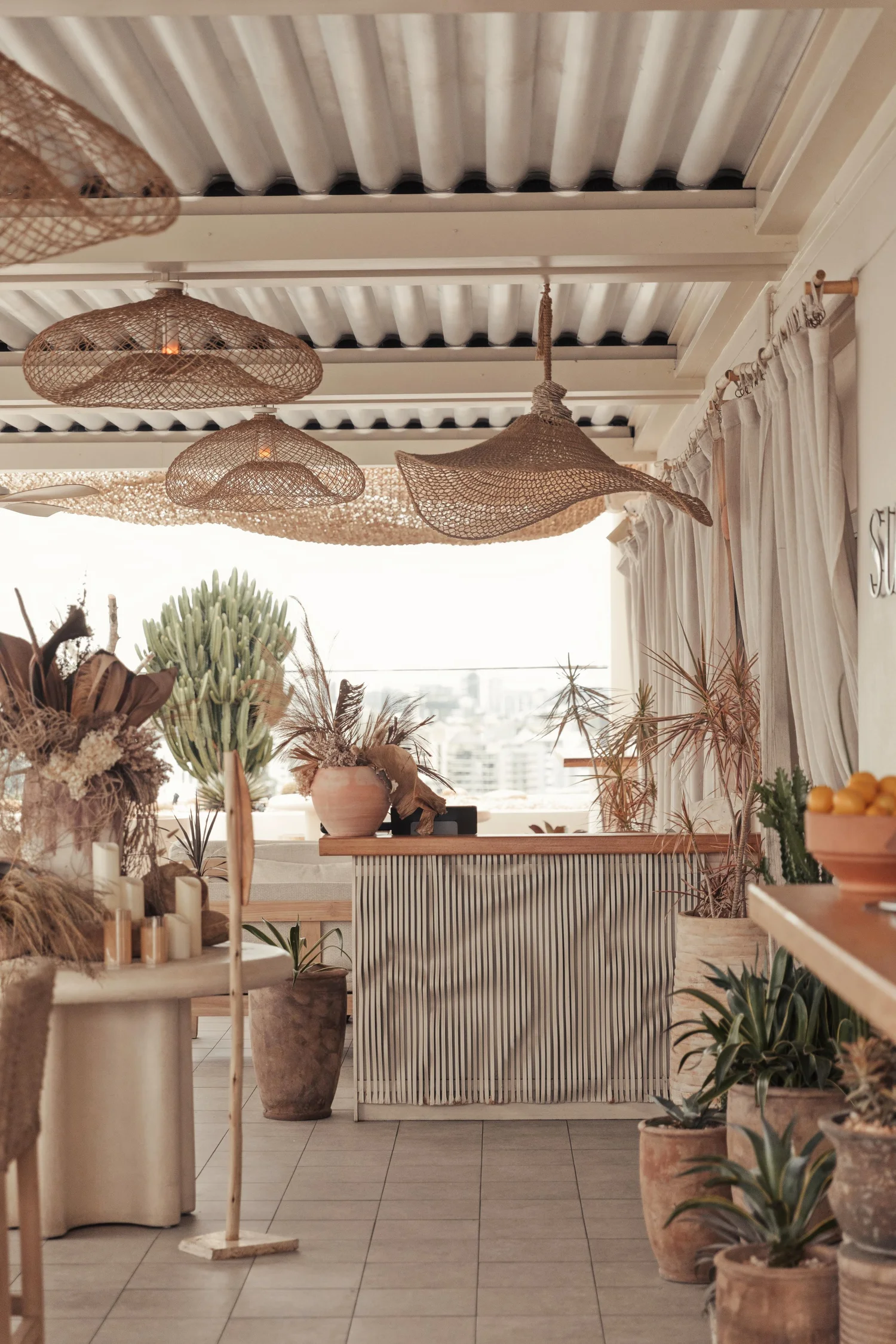 A rooftop bar at Sunsets, rattan pendants and potted cactus in late afternoon light